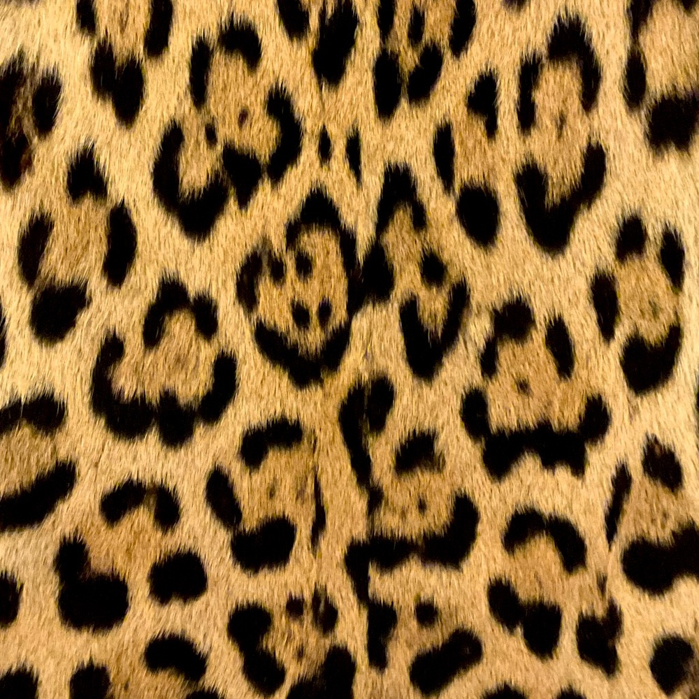 Meet your Posher, Dawn